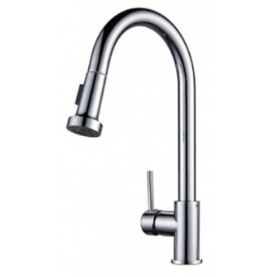 Kitchen Mixer Tap