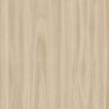 Coastal Elm