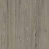 Manhattan Elm